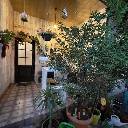 Mr Guest House Tbilisi Esterno foto