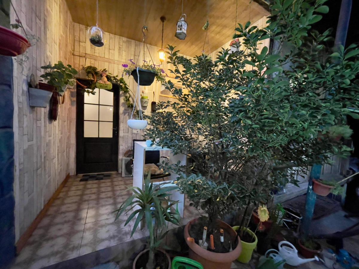 Mr Guest House Tbilisi Esterno foto